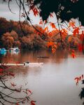 风景