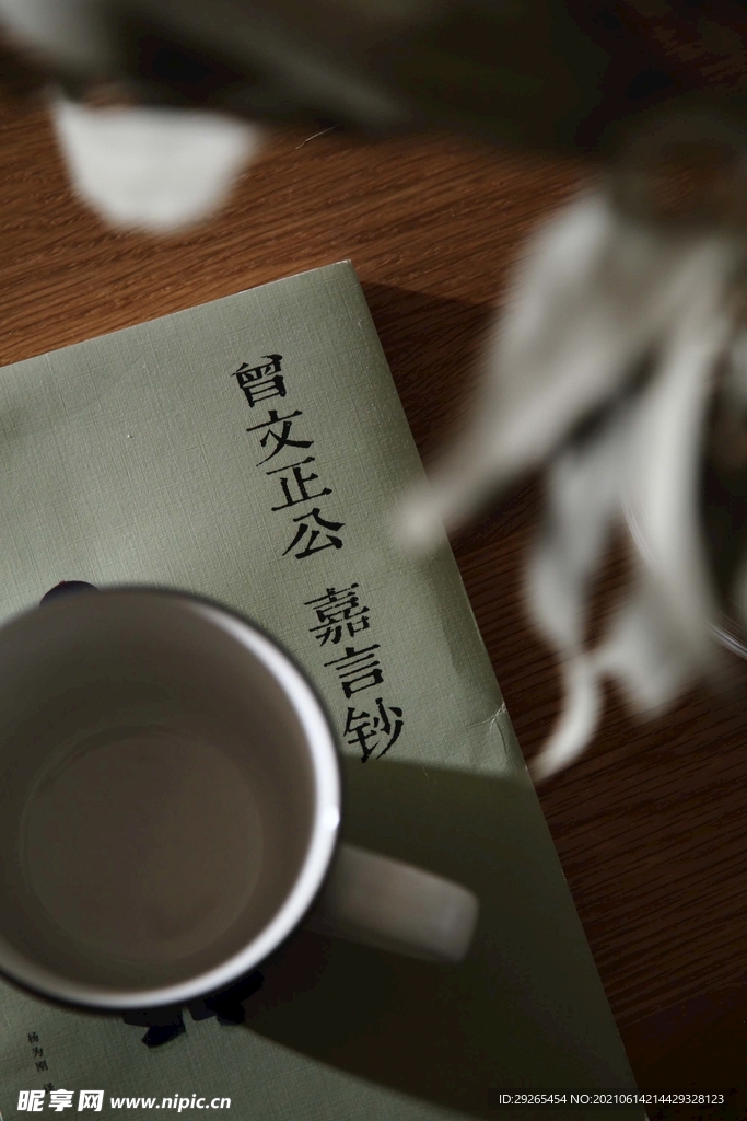 一居室