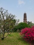 赤岗塔