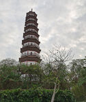 赤岗塔