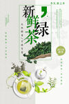 绿茶海报