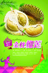 榴莲海报
