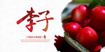 李子海报