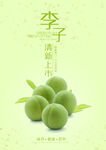 李子海报