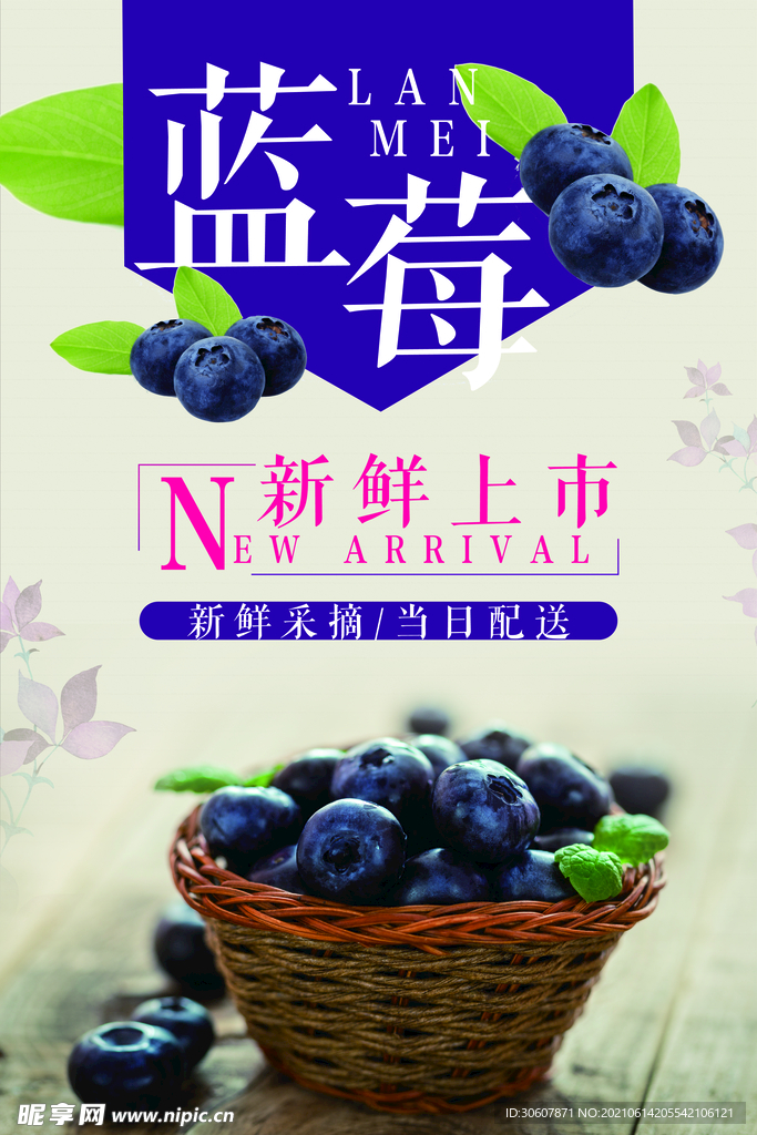 蓝莓海报