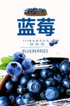 蓝莓海报