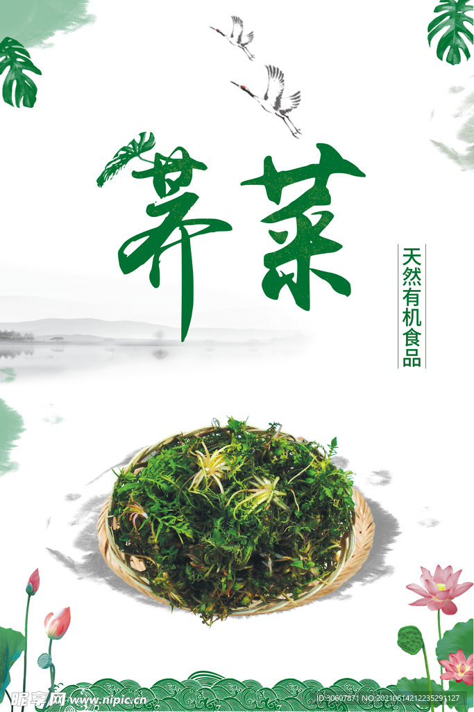 荠菜海报