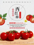 西红柿海报