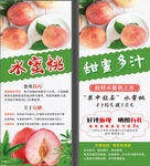水蜜桃
