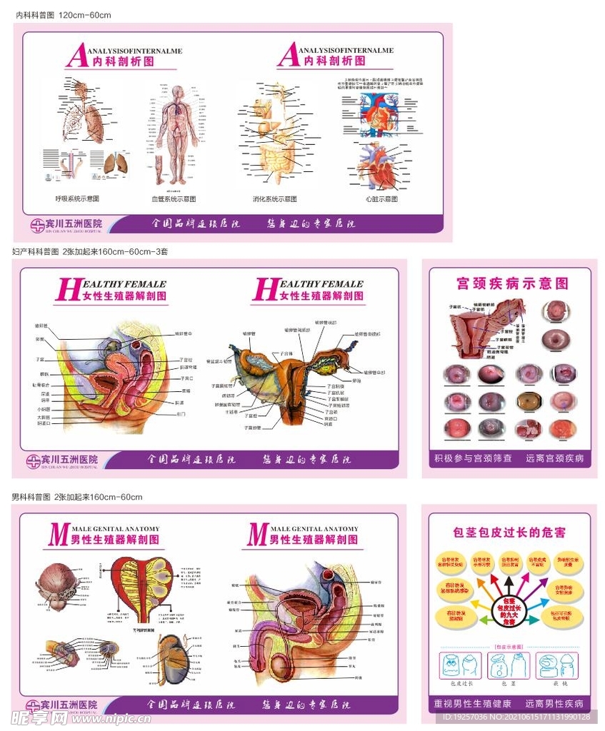 医院科普图