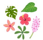 彩色花卉树叶