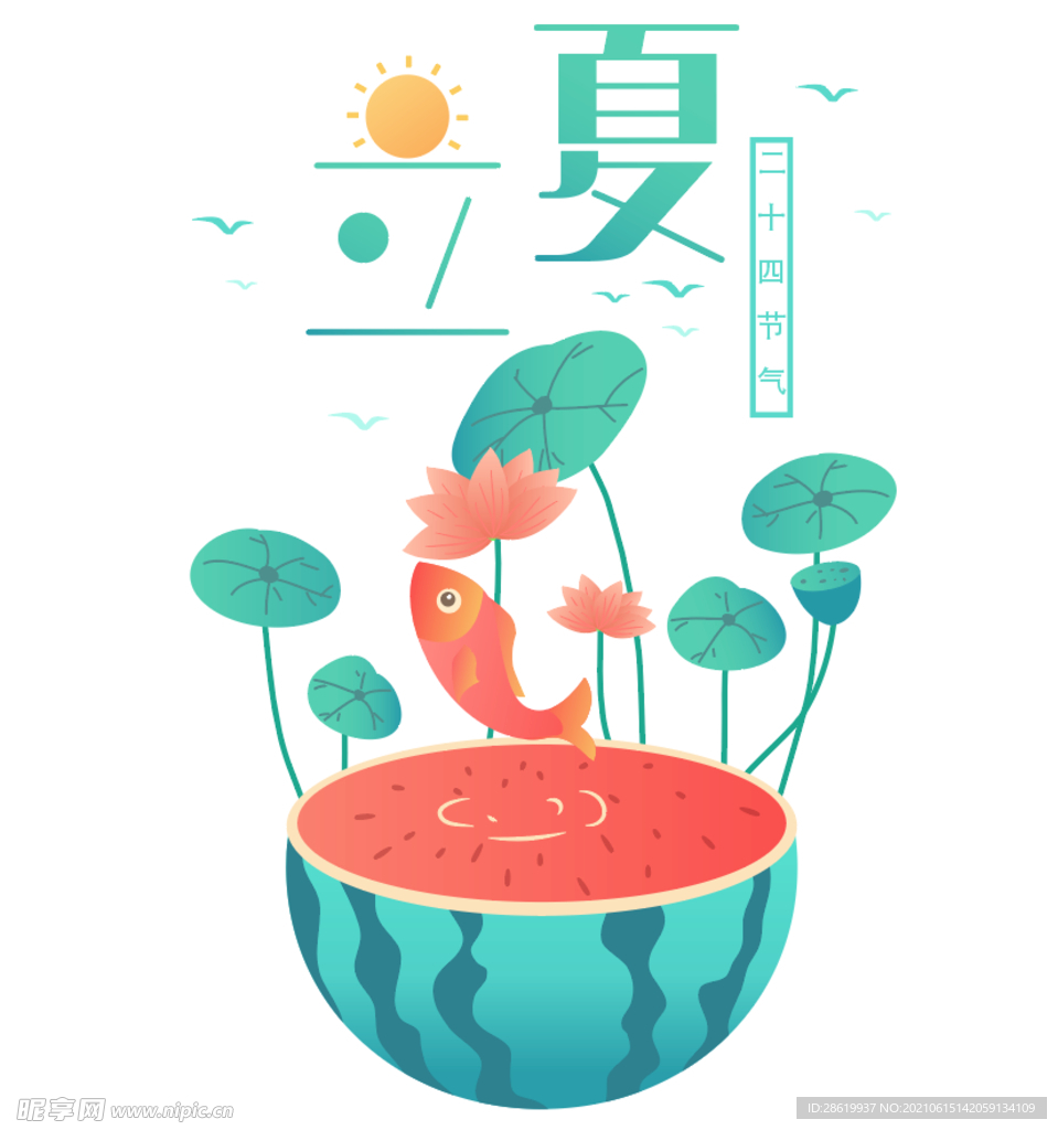 西瓜 夏季