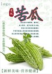 苦瓜海报