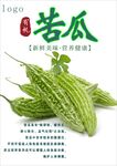 苦瓜海报