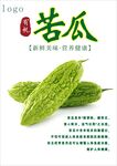 苦瓜海报