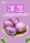 洋葱海报