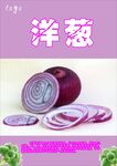 洋葱海报