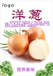 洋葱海报