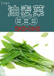 油麦菜海报