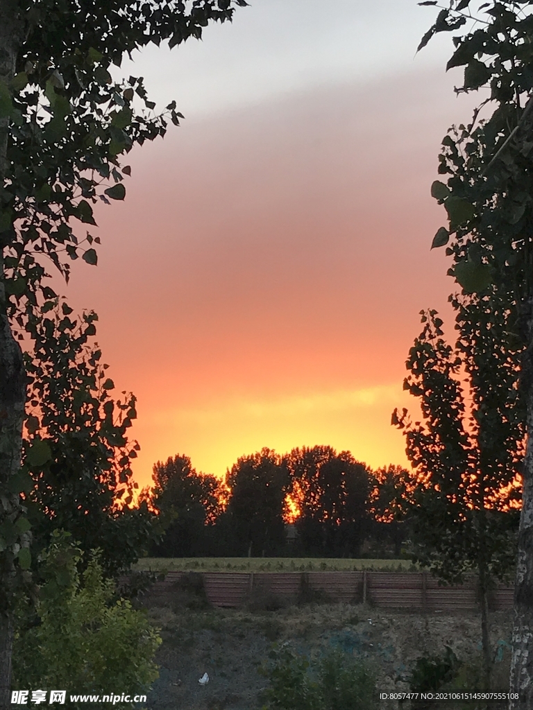 夕阳