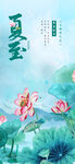 夏至节气海报