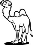 骆驼卡通形象矢量