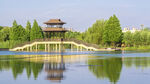 湖畔风景