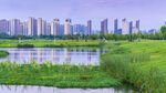 夕阳下的城市建筑