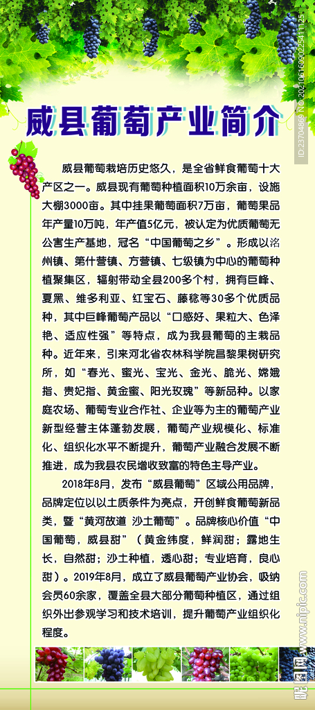 葡萄简介