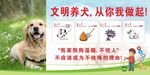 文明养犬 