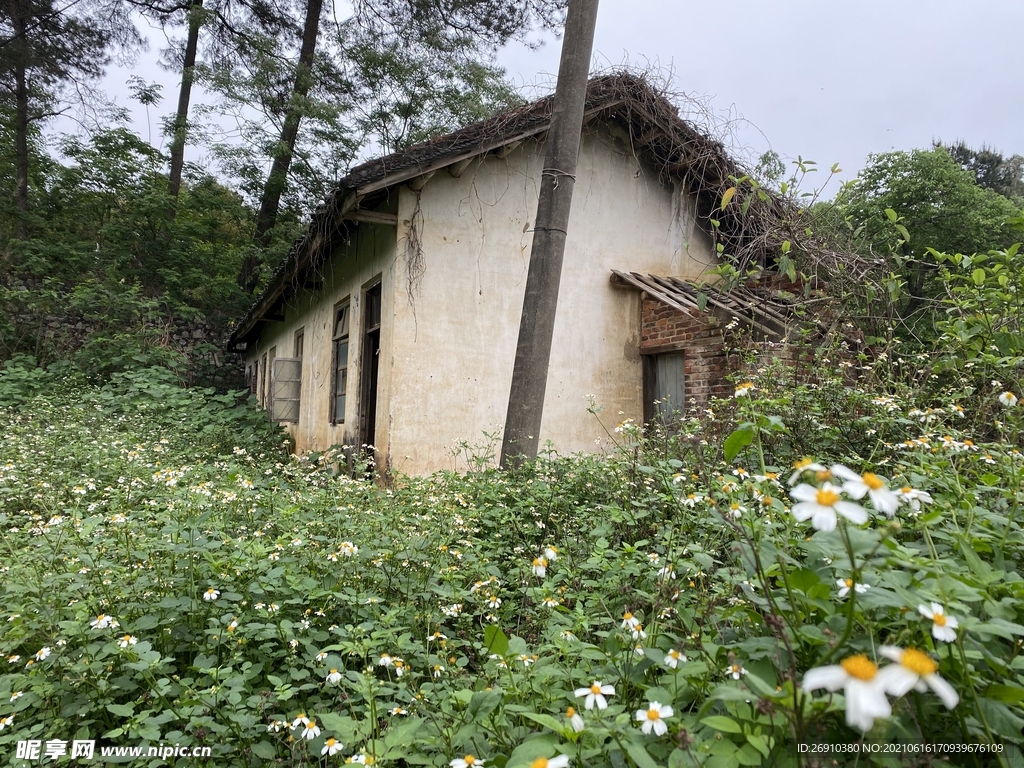 破败的小屋