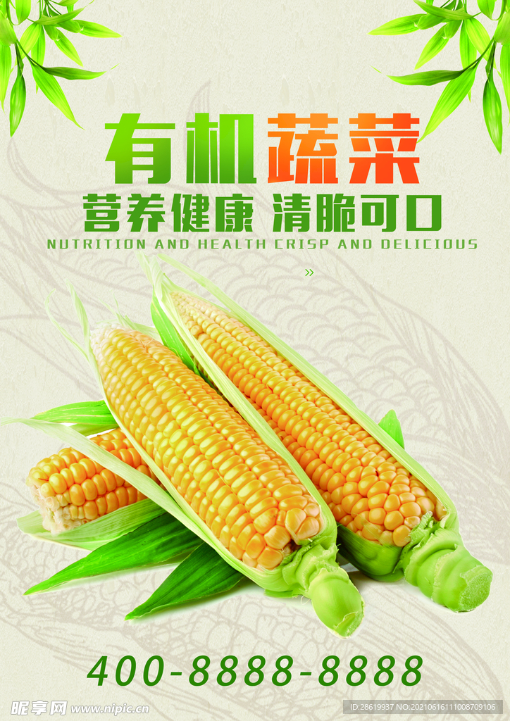 玉米蔬菜海报