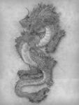 黑白素描龙