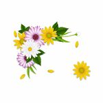 大牌 素材 数码 印花 花型