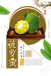 菠萝蜜海报