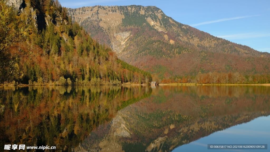 森林 湖景