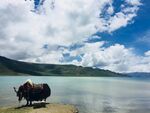 风景图片