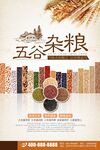 五谷杂粮海报粮食海报