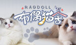 猫舍