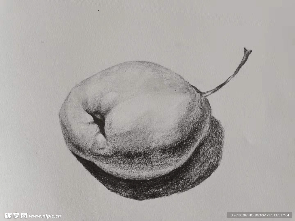素描 水果 梨