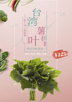 台湾番薯叶