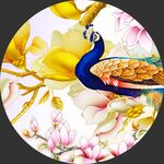 孔雀玄关