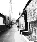黑白胡同