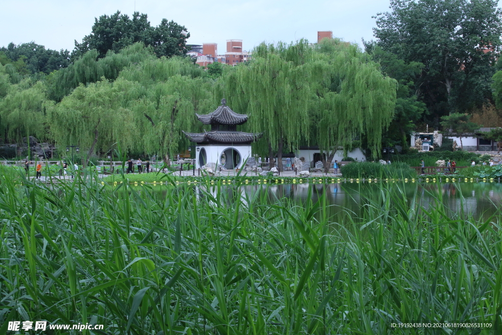 园林风景 