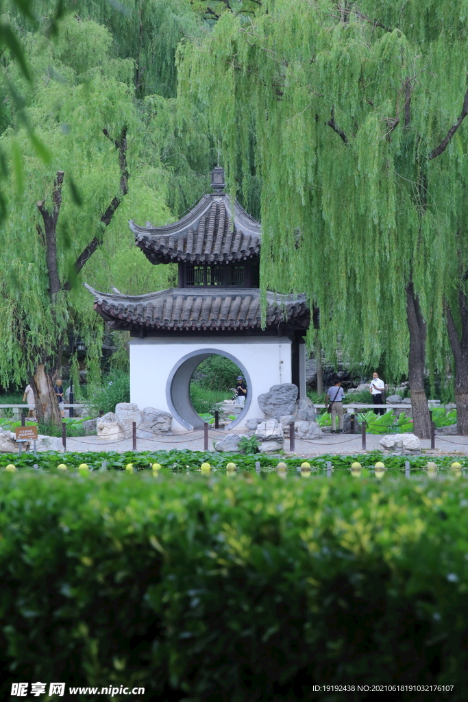 园林风景