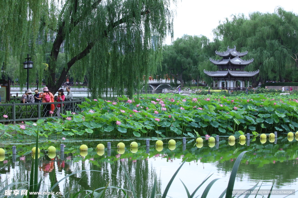 园林风景