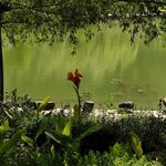 清水湖