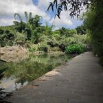 风景