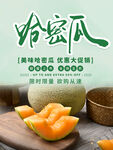 哈密瓜