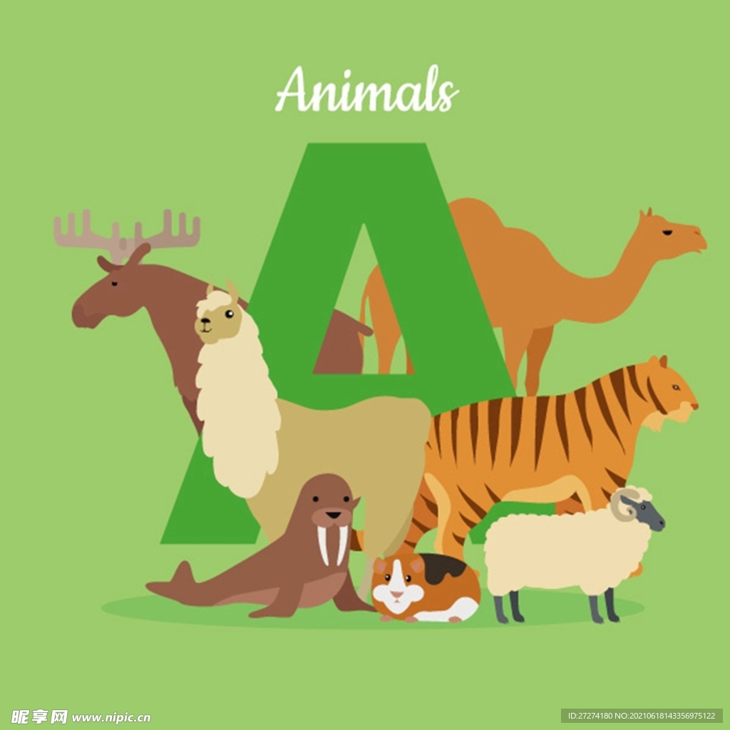 小动物和字母